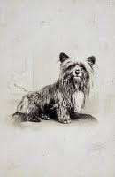 090904-dog